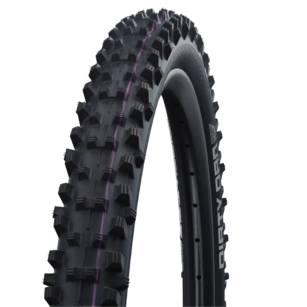 Schwalbe Tyre Dirty Dan